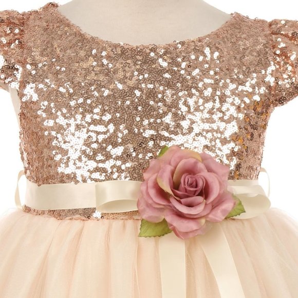 Girls Sleeveless Shiny Tulle Bridesmaid Party Birthday Flower Girl Dress Blush - Picture 3 of 4